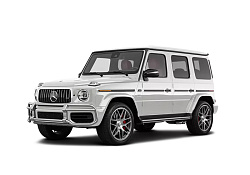 Mercedes-Benz G-Class G400 CDI 4.0 (OM628.962)